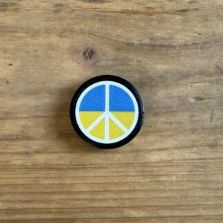 reCap Frieden für Ukraine